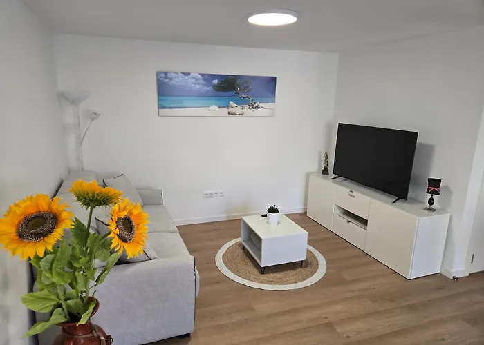 Suzi's Garden أفيرو